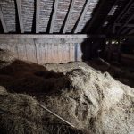 Avant - Rénovation intérieure complète d'une vieille ferme avec des produits biologiques